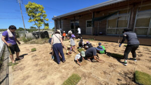 園児、保護者、スタッフみんなで芝生植え開始 園庭にて