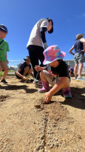 子どもが一人、集中して植えている