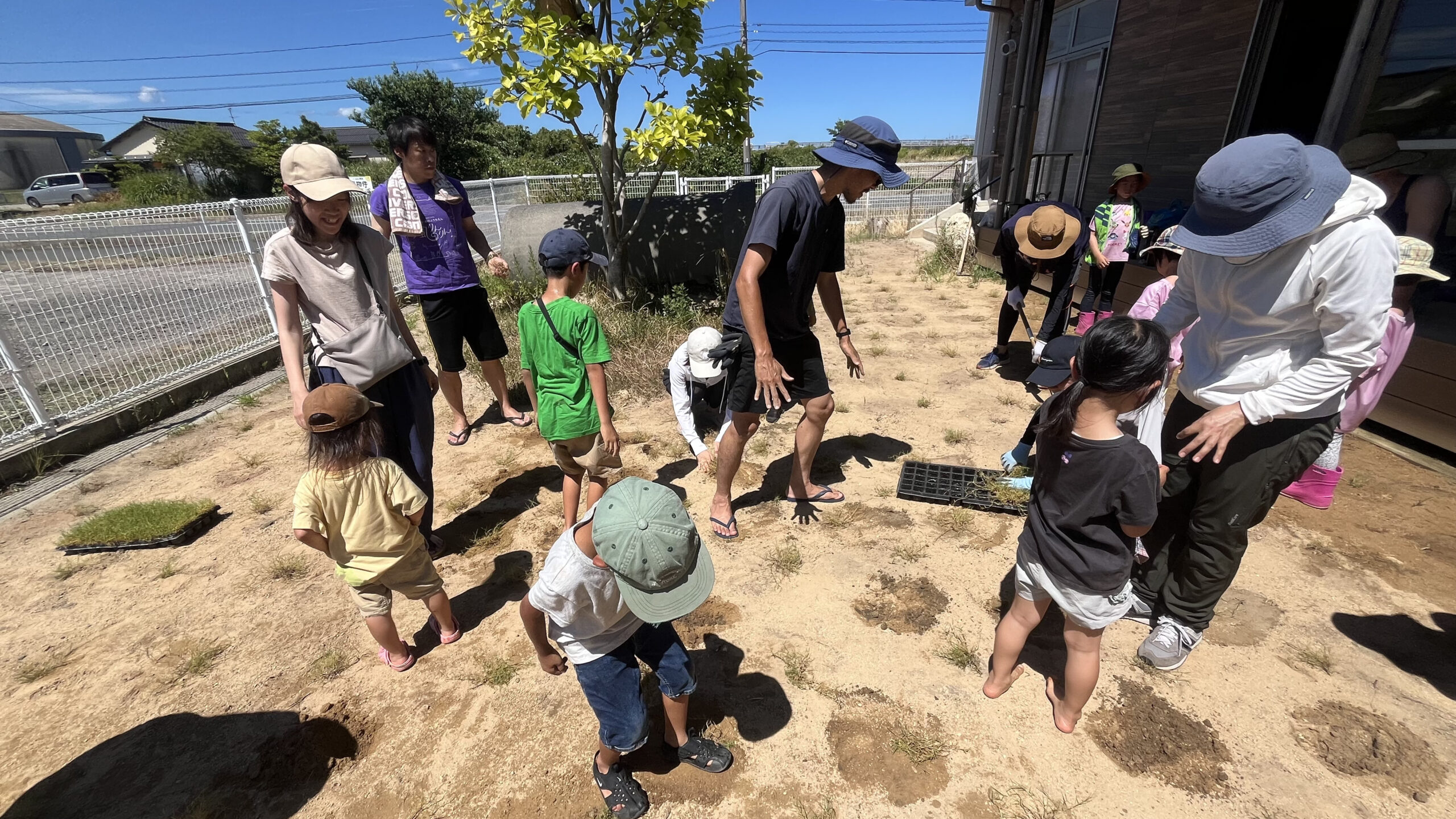園庭でうろうろ植えている