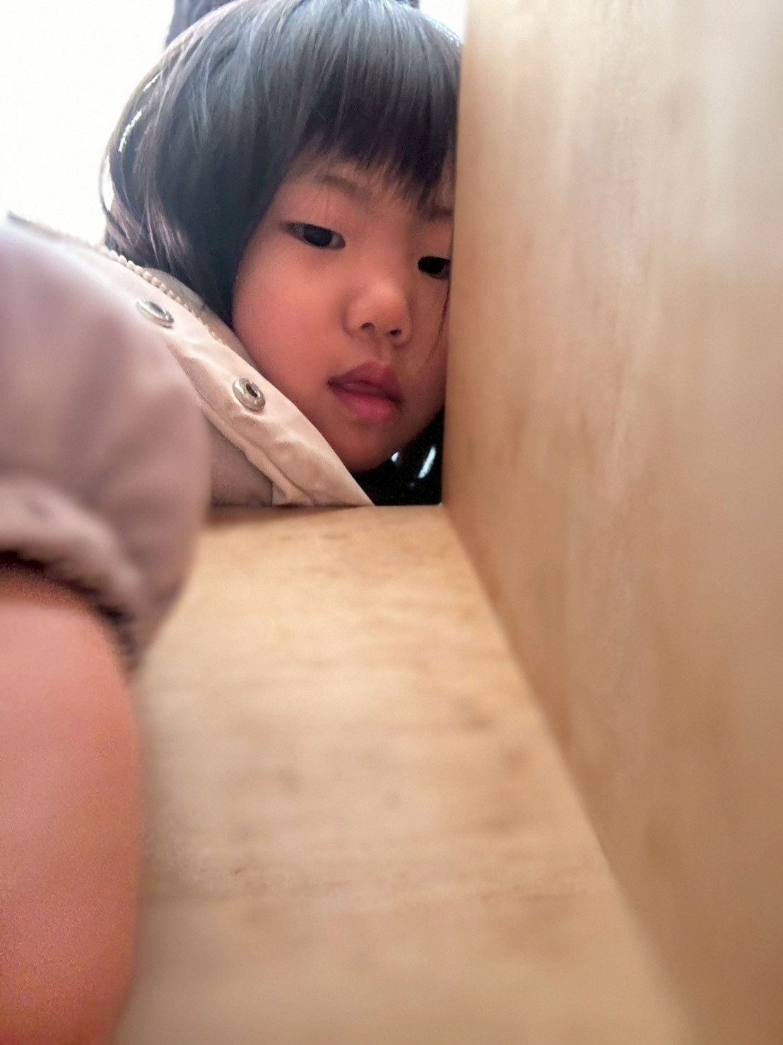 鳥取森のようちえん風りんりん・絶世の美室・スタッフ保護者子どもみんなで大掃除