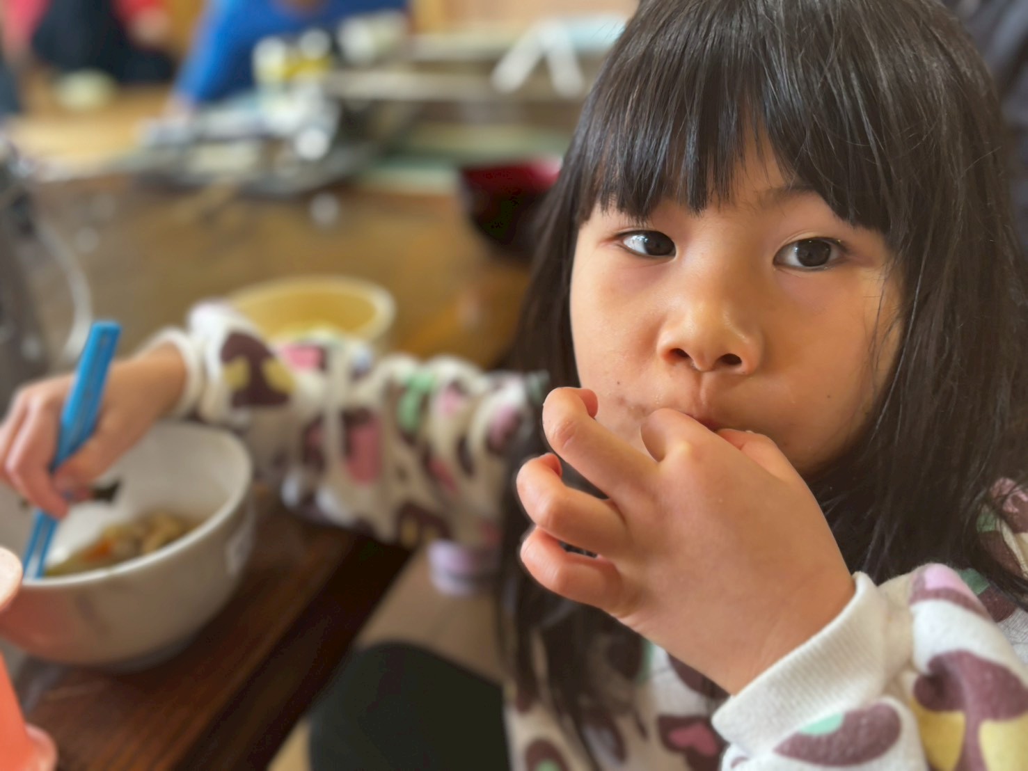 鳥取森のようちえん風りんりん・絶世の美室・スタッフ保護者子どもみんなで大掃除